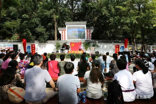 小布掀起社會經濟咨詢新風潮，今日重磅新聞引發行業關注